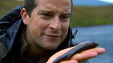 Man vs. Wild: Trout Time