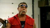 American Chopper: Senior on Watching Chopper