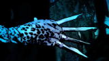 Blood For The Gods: Leopard Men Terror