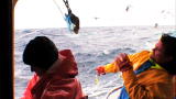 Swords: Ocean Packs a Punch