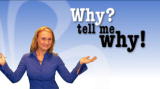 Why? Tell Me Why!: Fireflies