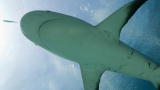 Shark Bites: South Pacific Attack