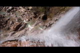 Man vs Wild 1 Shorts 3 min: Mexico Down Tree