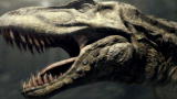 Clash of the Dinosaurs: Infamous Jaws