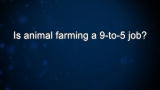 Curiosity: Nicolette and Bill Niman: Animal Farming 9 - 5?