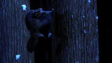 North America: Flying Squirrel Glides at Night