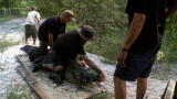 Swamp Brothers: Bull Gator Rodeo