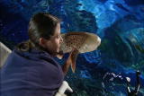 Shark Week: Shark Training