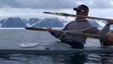 Human Planet: Capturing a Narwhal