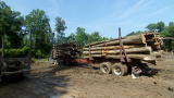 Swamp Loggers: Monkey Stuck