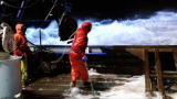 Deadliest Catch 7: Squawk Box Sig
