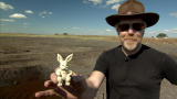 MythBusters: Whup Wahhh!