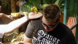 American Chopper: Sr vs Jr: The Birds