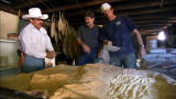 Dirty Jobs: Octo-Palm