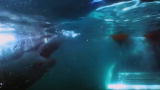 Discovery Promos: Gillette Close Call 2