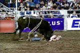 Destroyed in Seconds: Lights Out Bull Ride