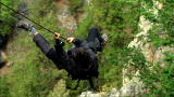 Man vs. Wild: Bear Cam