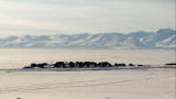 Beyond Survival :The Arctic