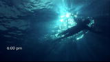 Shark Week 2009: Blood In the Water: Bloody Ocean Swim