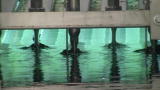 News: What's Down the Drain?