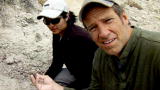 Dirty Jobs: The Dino-Dig Workout