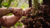 Dual Survival: Nasty Nut Taste