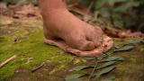 Dual Survival: Cody's Quick Flip-Flops