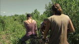 The Colony: Viral Ambush
