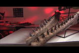 Mega Beasts: Birth of a Monster