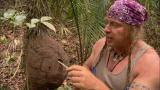Dual Survival: Cody's Jungle Food