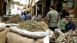 Brew Masters: Cairo Spice Street