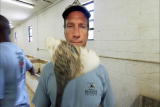 Dirty Jobs: Cricket Poo 101