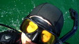 Dirty Jobs: Muddled Waters