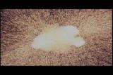 Assignment Discovery Shorts: Black Hole Formation