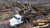 Swamp Loggers: Trailer Ready