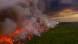 North America: Filming a Raging Forest Fire