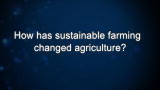 Curiosity: Nicolette and Bill Niman: Sustainable Farming Changing Agriculture