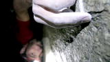Adrenaline Lab: Kevin Jorgeson Free Climbs El Cap