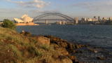 Shark Week: Shark Attack in Sydney Harbor
