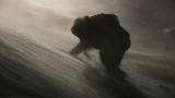 Man vs. Wild: Blizzard Survival