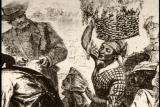 Assignment Discovery: Cotton Slaves