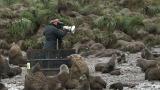 Frozen Planet: Fending Off Fighting Fur Seals