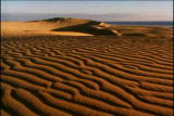 Assignment Discovery Shorts: Sand