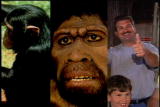 Assignment Discovery Shorts: Evolution Adaptation