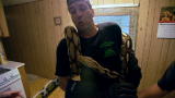Swamp Brothers: Snake Therapy