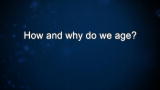 Curiosity: Aubrey de Grey: Aging