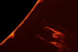 Assignment Discovery Shorts: Solar Prominences