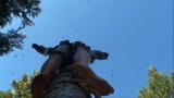 MythBusters: Conifer Catapult Angle 3