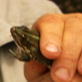 Man vs. Wild: Bear Eats Frog