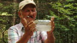 play video on Discovery Channel